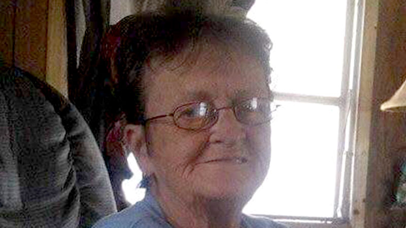 VIRGINIA FREEMAN - Houston Herald
