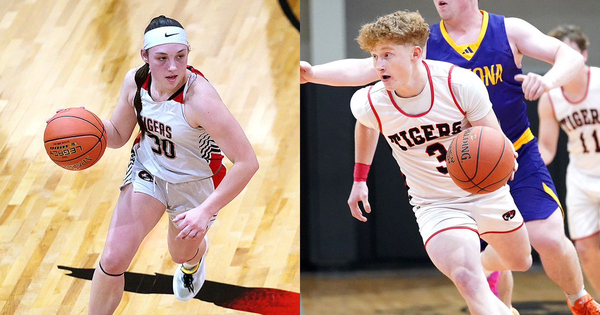 McNiell, Riley receive all-district hoops honors - Houston Herald