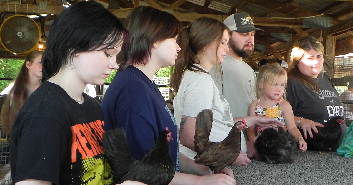 PHOTOS: The 2026 Texas County Livestock Fair