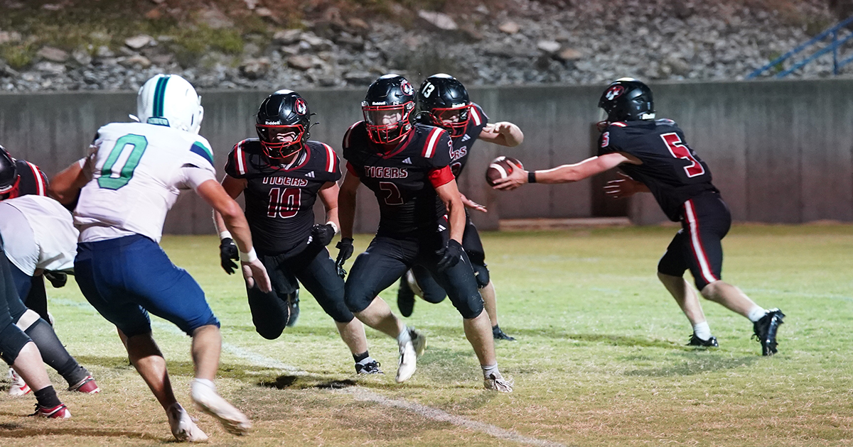 ‘It was a wild game for sure': Tigers fall to Springfield Catholic